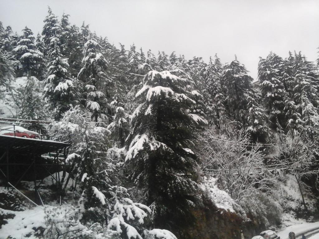 Shimla View Home ภายนอก รูปภาพ